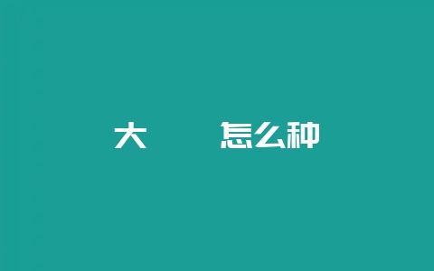 大芫荽怎么种-会东网