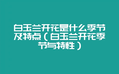 白玉兰开花是什么季节及特点（白玉兰开花季节与特性）-会东网