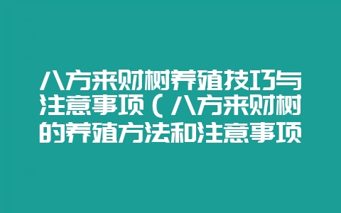 八方来财树养殖技巧与注意事项(八方来财树的养殖方法和注意事项)-会东网