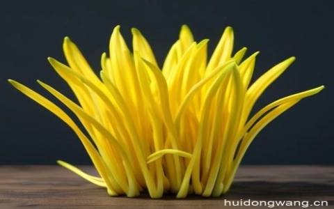 板栗焖羊肉插图 板栗焖羊肉插图