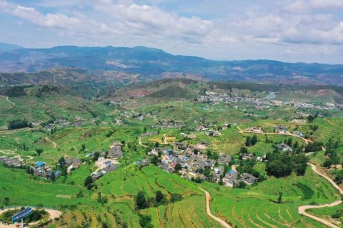 会东复烤厂助力乡村振兴:烟叶复烤为当地群众开辟增收新途径插图3 会东复烤厂助力乡村振兴:烟叶复烤为当地群众开辟增收新途径插图3