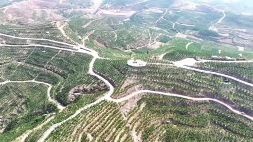 会东县姜州镇:石榴花开映丰收,产业兴旺促振兴插图3 会东县姜州镇:石榴花开映丰收,产业兴旺促振兴插图3