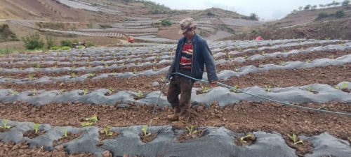 铅锌镇“引水上山”助农兴产，光伏提灌站点亮乡村振兴路插图3