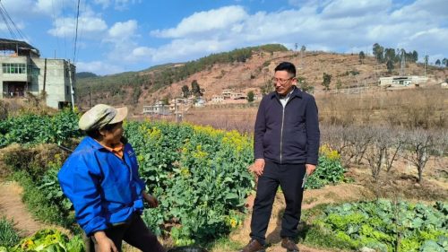 安平代表深入调研,为会东城乡融合发展献良策插图 安平代表深入调研,为会东城乡融合发展献良策插图