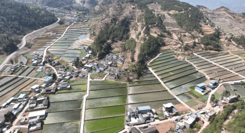 会东县“旱改水”助力农业升级,绘就致富新画卷-会东网