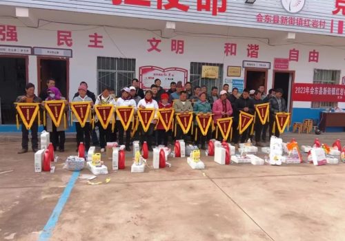 会东新街镇迎新春：深化环境整治，打造宜居宜业和美乡村新篇章插图1