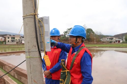 会东姜州镇：初夏插秧农忙时刻插图3