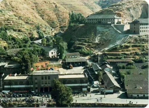 会理:力马河村杨梅盛宴,共赴“梅好”时光插图4 会理:力马河村杨梅盛宴,共赴“梅好”时光插图4