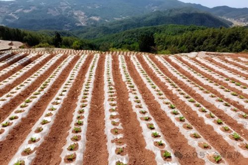 会东县的变迁:从古至今你了解多少?插图2 会东县的变迁:从古至今你了解多少?插图2