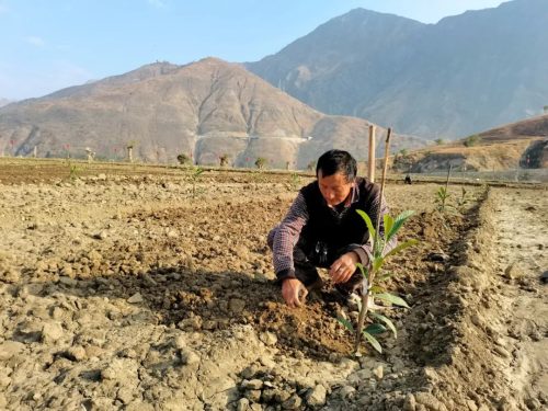 会东春耕忙，农业振兴显成效，农民笑开颜插图1