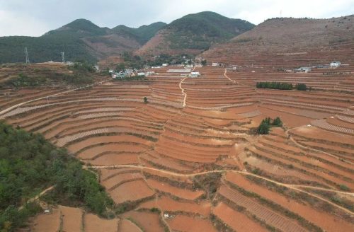 会东重拳出击治理“白色污染”,助推农业绿色高质量发展-会东网