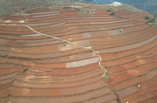 会东重拳出击治理“白色污染”，助推农业绿色高质量发展插图2