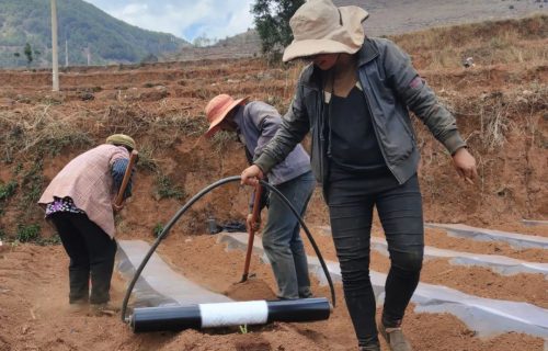 会东重拳出击治理“白色污染”，助推农业绿色高质量发展插图6