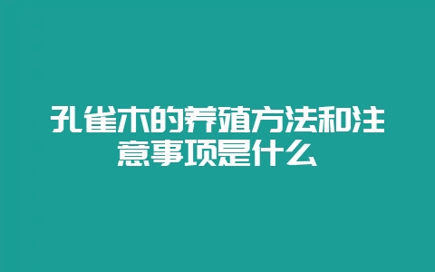 孔雀木的养殖方法和注意事项是什么-会东网