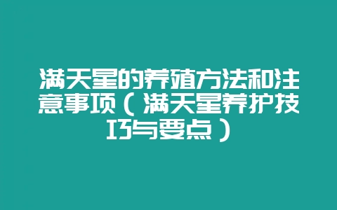 满天星的养殖方法和注意事项(满天星养护技巧与要点)-会东网