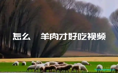 怎么炖羊肉才好吃视频-会东网