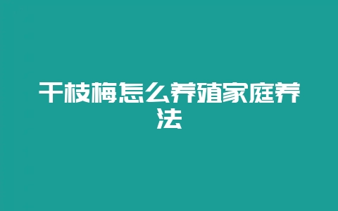 干枝梅怎么养殖家庭养法-会东网