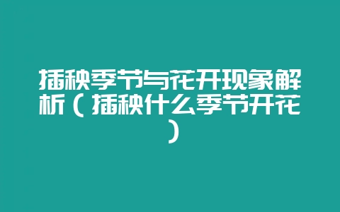 插秧季节与花开现象解析（插秧什么季节开花）-会东网