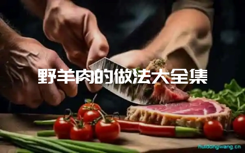 野羊肉的做法大全集-会东网