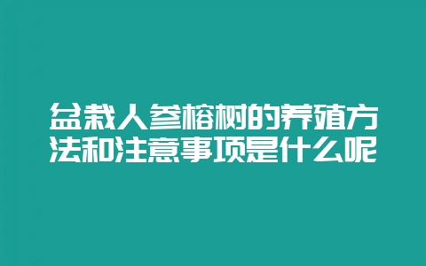 盆栽人参榕树的养殖方法和注意事项是什么呢-会东网