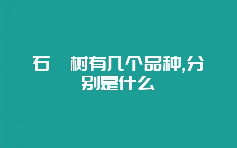 石楠树有几个品种,分别是什么-会东网