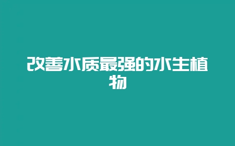 改善水质最强的水生植物-会东网