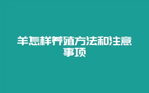 羊怎样养殖方法和注意事项-会东网