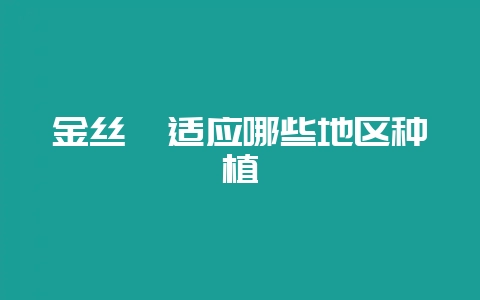 金丝楠适应哪些地区种植-会东网