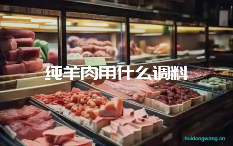纯羊肉用什么调料-会东网