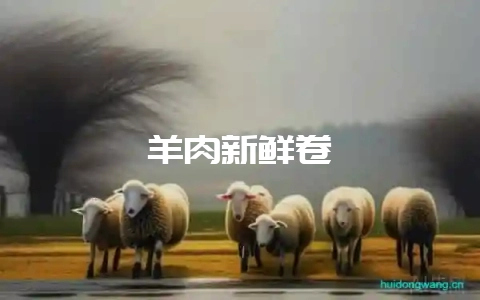 羊肉新鲜卷-会东网