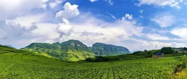 会东机场中标公示公告最新版:2024年最新建设动态全解析插图 会东机场中标公示公告最新版:2024年最新建设动态全解析插图