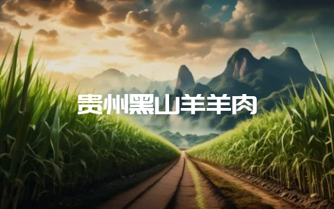 贵州黑山羊羊肉-会东网