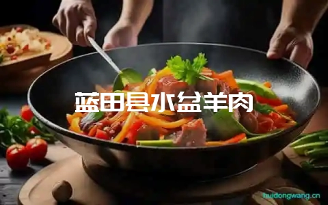 蓝田县水盆羊肉-会东网