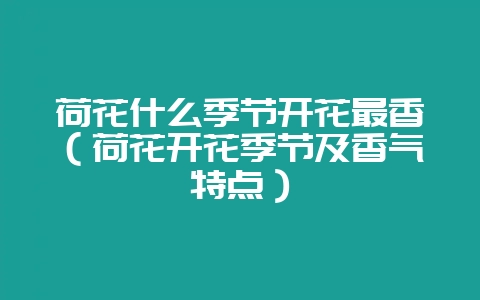 荷花什么季节开花最香（荷花开花季节及香气特点）-会东网