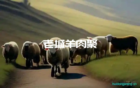 老城羊肉聚-会东网