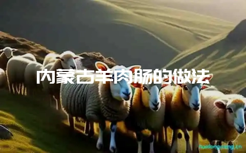 内蒙古羊肉肠的做法-会东网