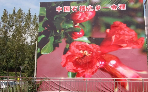 防火措施严,会理森林草原安全插图 防火措施严,会理森林草原安全插图