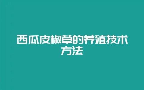 西瓜皮椒草的养殖技术方法-会东网