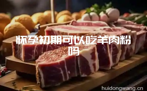 怀孕初期可以吃羊肉粉吗-会东网