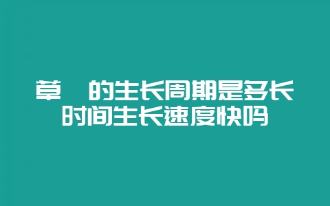 草莓的生长周期是多长时间生长速度快吗-会东网