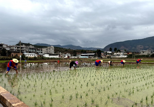 会东县有哪些乡镇(会东乡镇介绍)-会东网