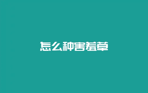 怎么种害羞草-会东网