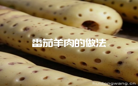番茄羊肉的做法-会东网