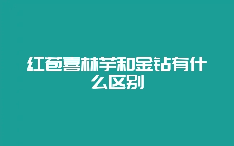 红苞喜林芋和金钻有什么区别-会东网