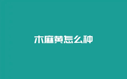 木麻黄怎么种-会东网