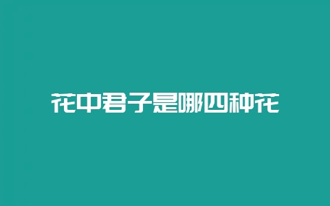 花中君子是哪四种花-会东网
