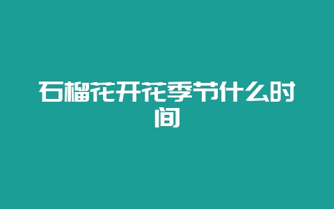 石榴花开花季节什么时间-会东网