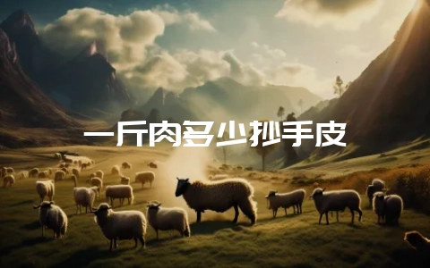 一斤肉多少抄手皮-会东网