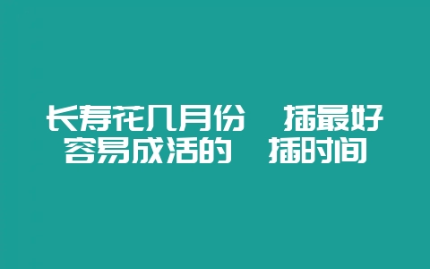 长寿花几月份扦插最好容易成活的扦插时间-会东网