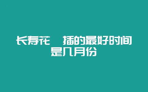 长寿花扦插的最好时间是几月份-会东网